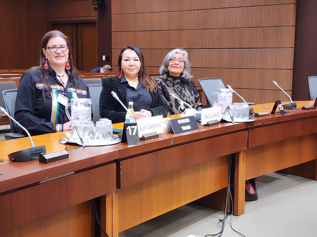 TheSheilaNorth's tweet photo. It is an honour and privilege to be at Parliament Hill today with many esteemed friends, inc Dr. @AnitaOlseHarper to talk about #RedDressAlert. I am sharing my thoughts on who needs to implement it and why it shouldn't be police alone. Pray for us. https://t.co/EyQfxzlOb8