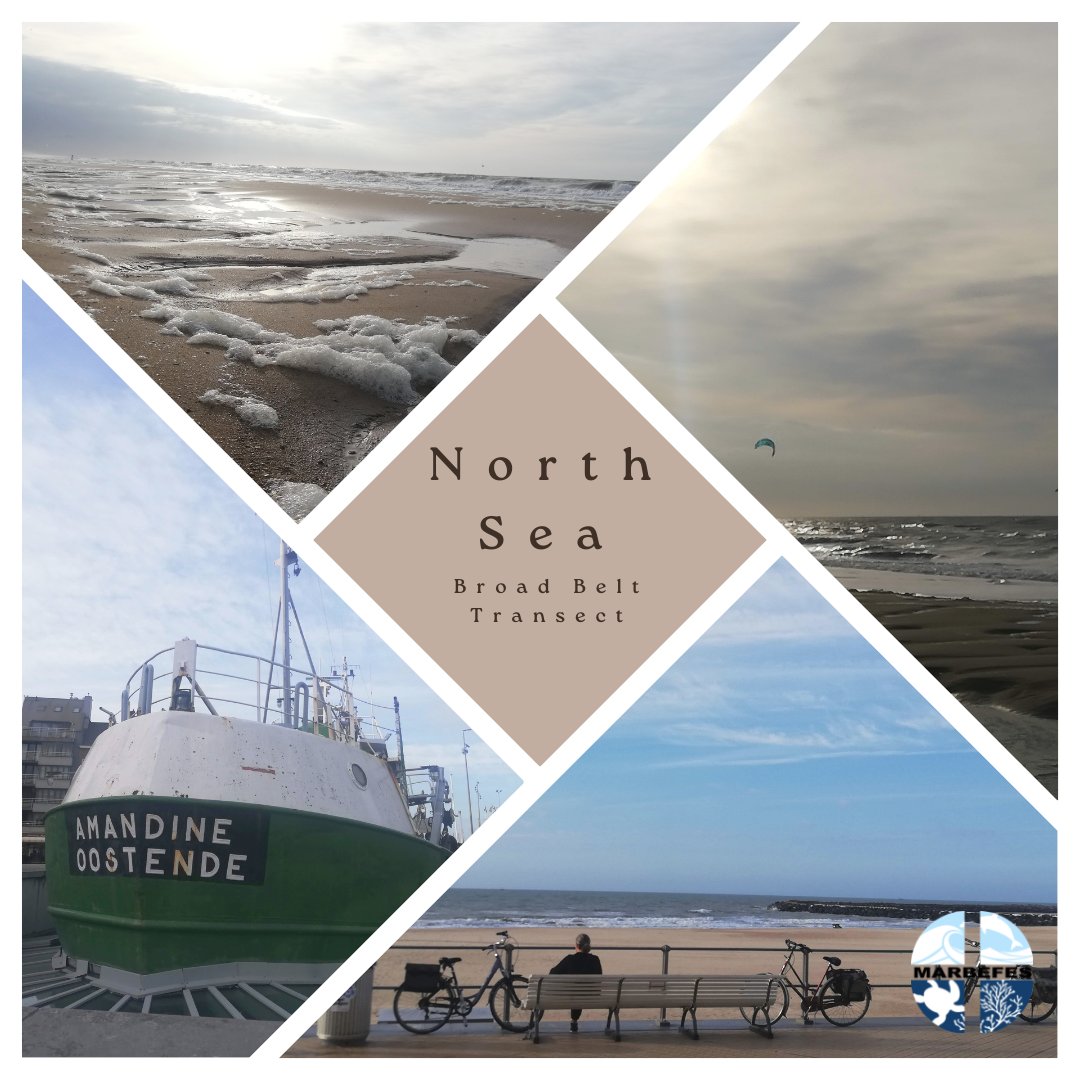 Highlighting our next BBT, we move to the North Sea. This region consists of a diverse ecosystem, 140+ fish species, 60+ bird species, seals, and porpoises! Led by @VLIZnews, the team will conduct ecological valuations, providing key data for policy makers and env. managers.