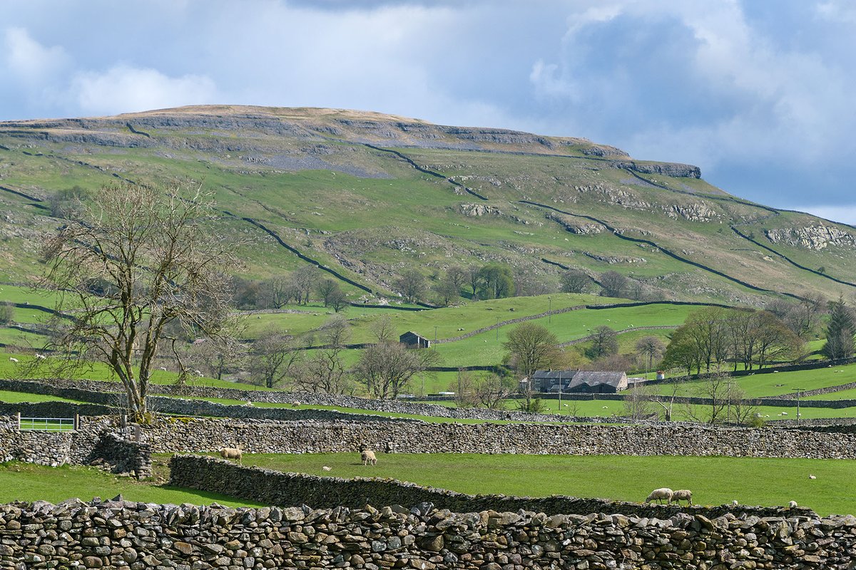 Another view looking to Moughton Scars from the lovely Yorkshire Dales village of Austwick this morning.