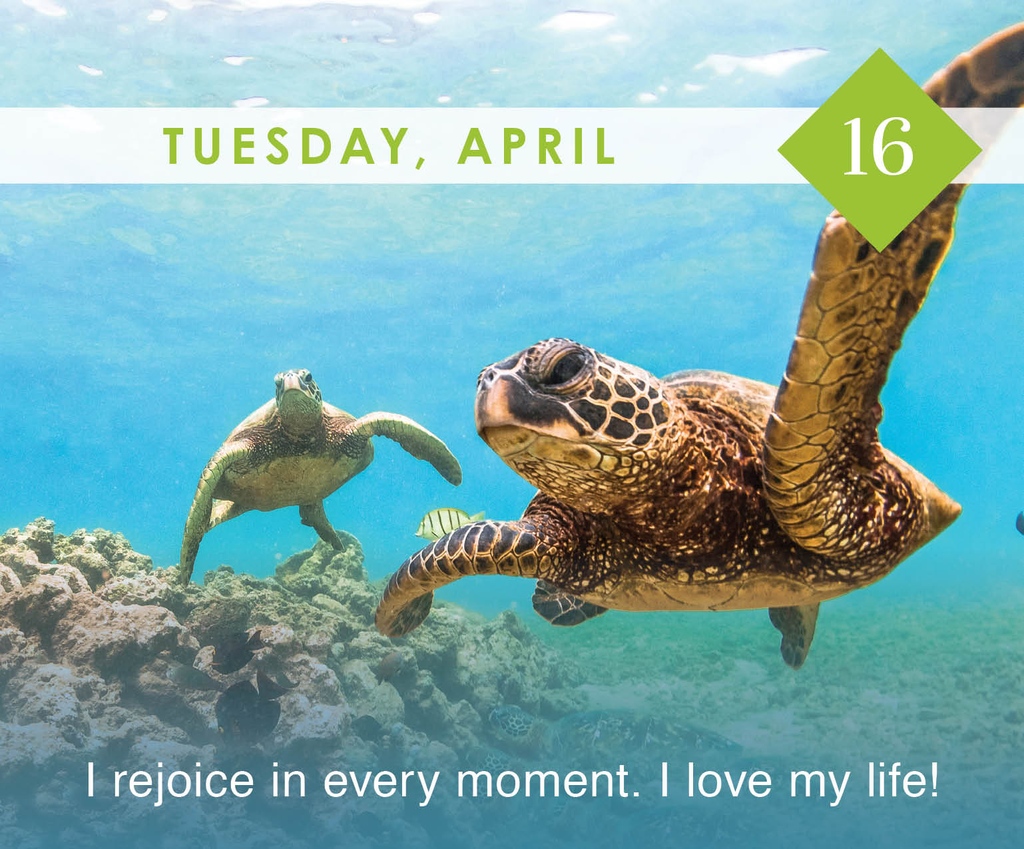 Affirm: 'I rejoice in every moment. I love my life!'