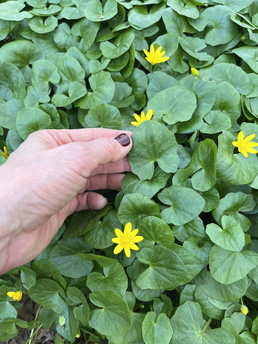 Erin Hill tweet media