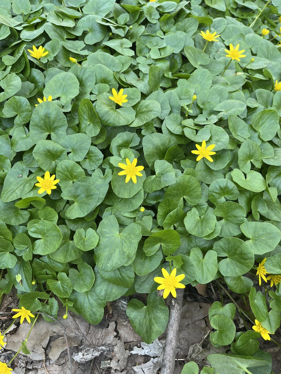 Erin Hill tweet media