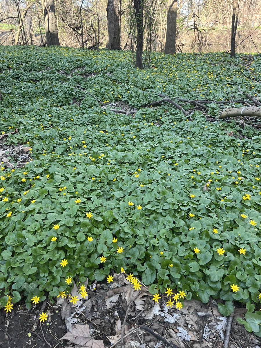 Erin Hill tweet media