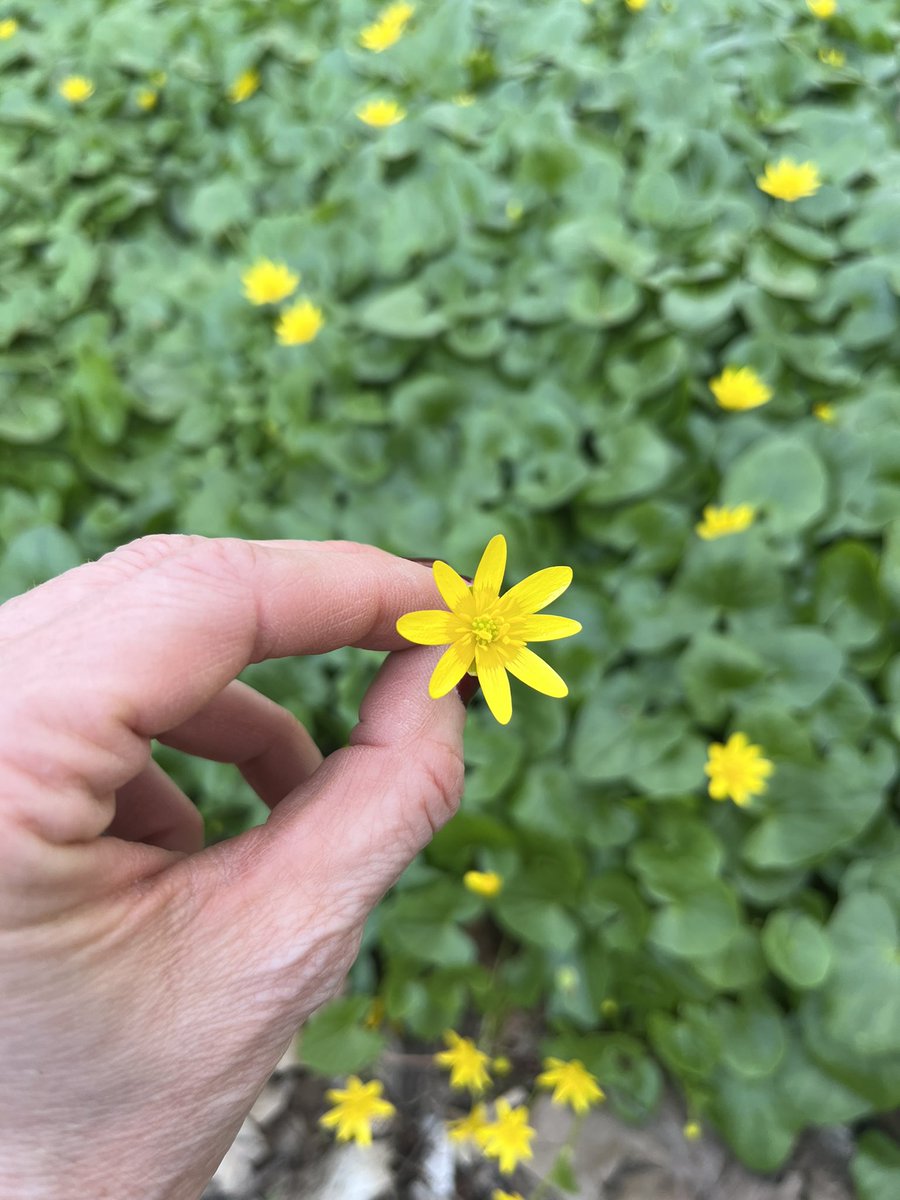 Erin Hill tweet media