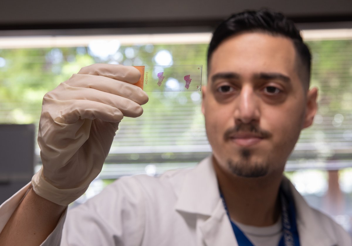StanfordSurgery's tweet photo. Happy #LabWeek to @OpNotes's Dr. John Farag pictured here in the Shudo Lab! Come hear him present "Transplanting Angiogenic Vascular Organoids to Rescue Microvascular Malperfusion in ischemic Porcine Myocardium" at #Holman24  https://t.co/owPHDXQrMk

@StanfordCTSurg @yshudo1007 https://t.co/s3zjnMS0MA