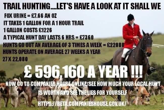 Cheshire Against Blood Sports tweet media