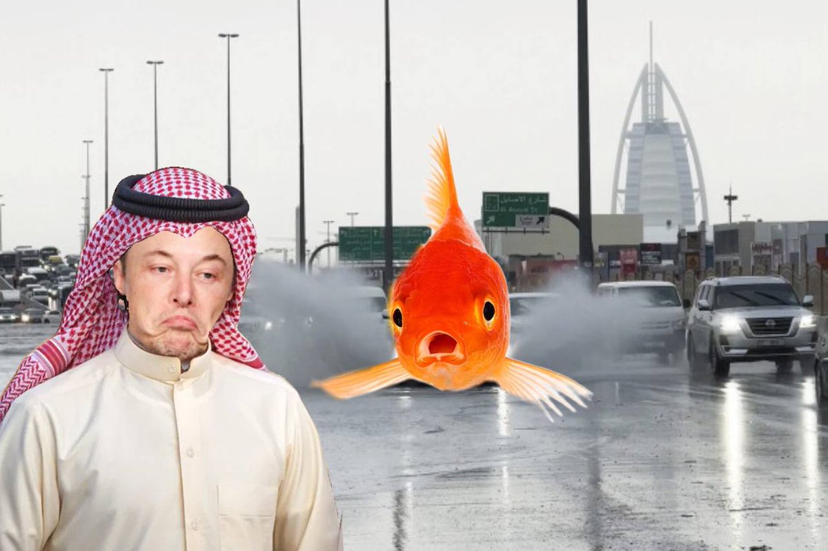 Eric the Goldfish tweet media