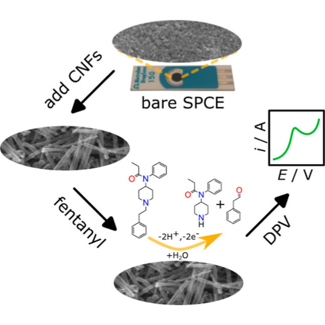 In this work, the authors report the direct electrochemical oxidation of fentanyl using commercial screen-printed carbon electrodes (SPCEs) modified with carboxyl-functionalized carbon nanofibers (fCNFs). Check it out 📝 go.acs.org/8Vr @NRC_CNRC @queensu @UAlberta