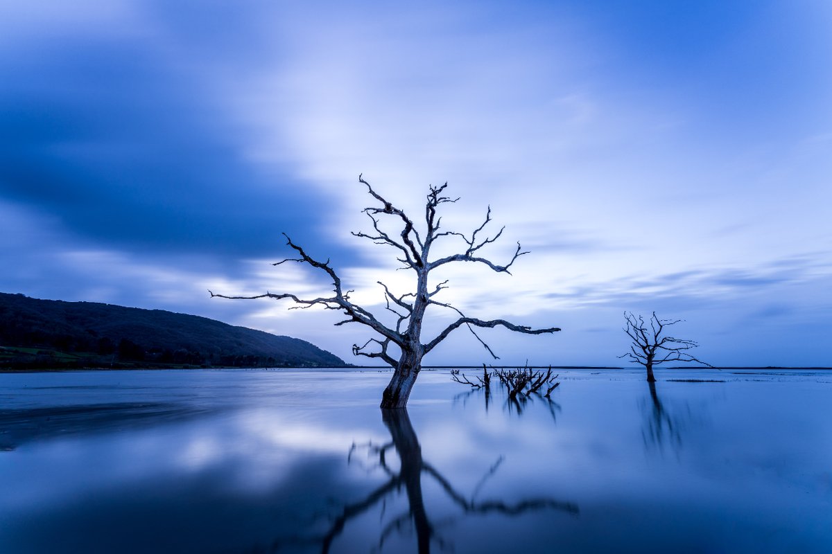 Gary Holpin wins the Climate Change category with his striking image of the skeletal trees at Porlock Marsh, taken during blue hour 💙 View all the winning images & more at the SWCP Photographer of the Year Exhibition! 📷   🚆 Platform 8 & 9, London Paddington 📅 3–30 July