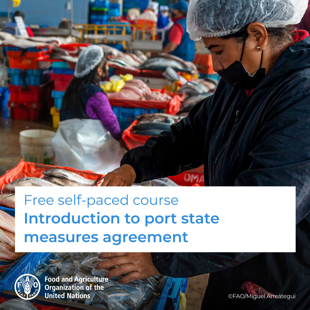 🎓 Free self-paced course! 🐠🐟🛥️ ⚓ Introduction to Port State Measures Agreement #PSMA Register now! ➡️ bit.ly/32m98cl @FAOfish #BlueTransformation #IYAFA2022 #FightIUUFishing