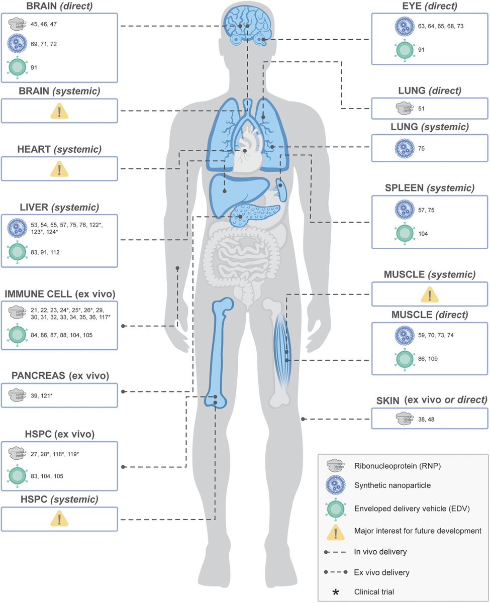 📈 Trending  Article in PNAS

One of the most-viewed PNAS articles in the last week is “Targeted nonviral delivery of genome editors in vivo.” Explore the findings here: ow.ly/vCwS50Rh306

For more trending articles, visit the PNAS homepage at ow.ly/pC3T50Rh307.