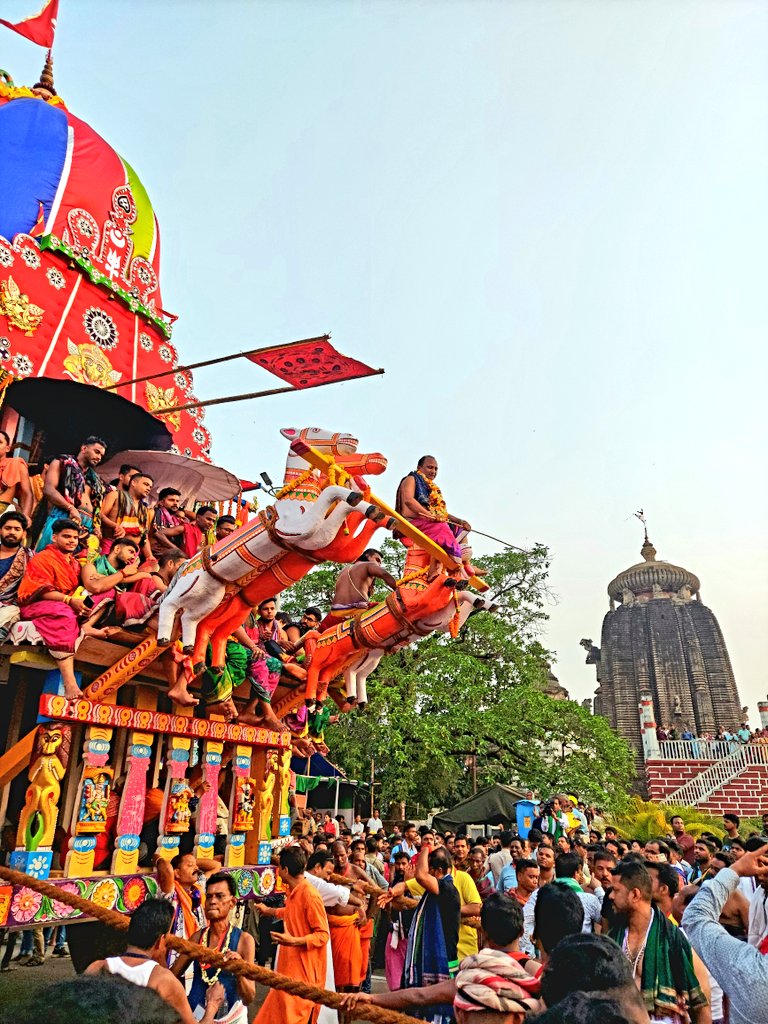 Glimpses of Lord Lingaraj Rukuna Ratha Jatra, thousands of devotees thronged in to witness the chariot moving past the temple. #RukunaRathaJatra2024 #JaiLingarajMahaprabhu 🙏