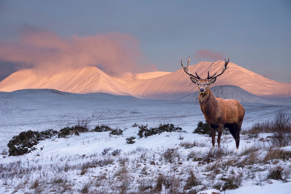 ⏰Still time to submit your response to the Scottish Government's consultation on climate change adaptation. Closing date for comments is 24 April 2024. communitycouncils.scot/news/2024/have…