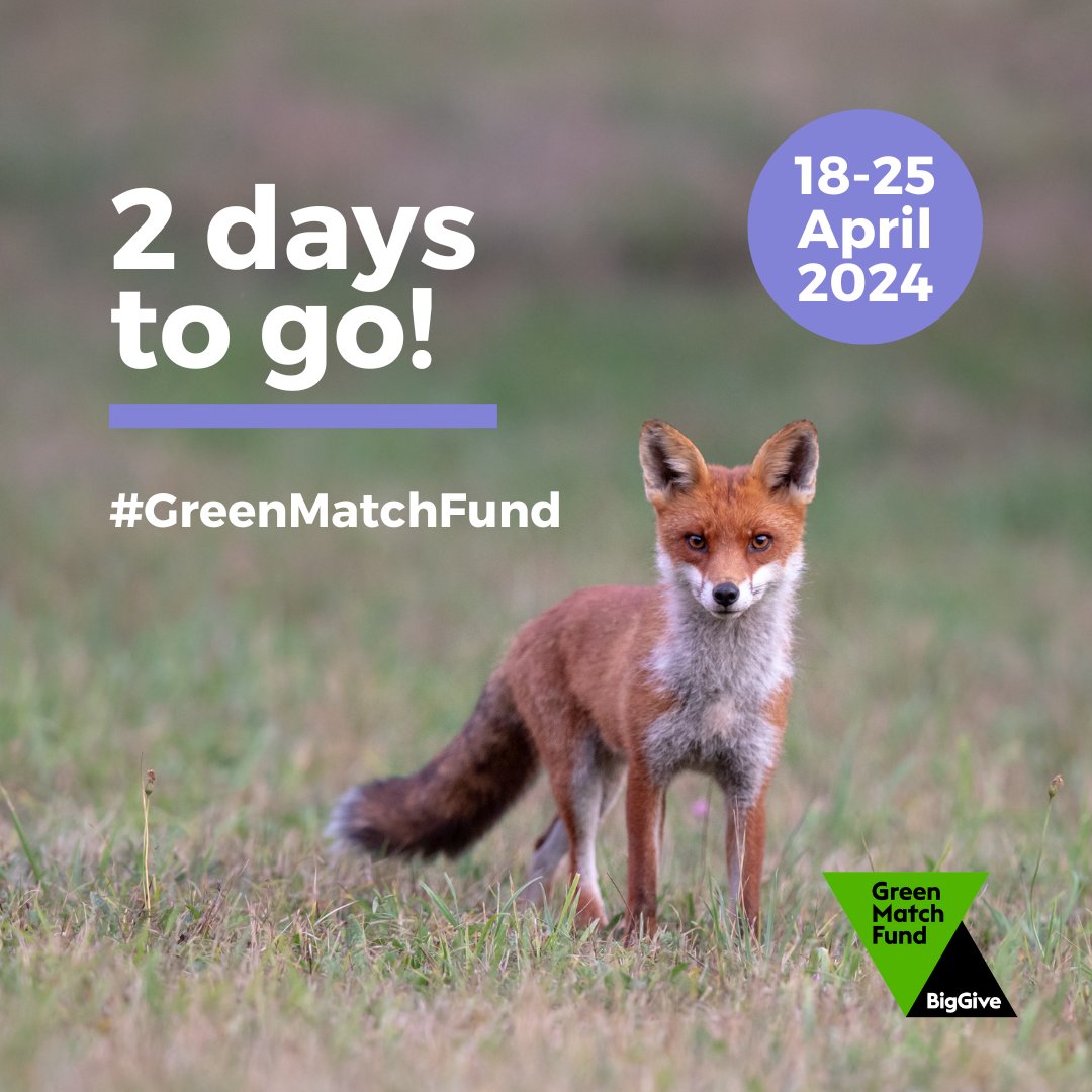 Just two days until the #GreenMatchFund 💚 Donations will be DOUBLED from Thursday 12pm. That means for every £1 you donate, we'll receive an extra £1. Every penny gets us one step closer to making sure @healsomerset remains a haven for nature, forever👇 donate.biggive.org/campaign/a0569…