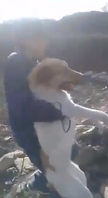 ¡Otro indignante caso de maltrato animal!😡

Esta vez los agresores fueron menores de edad, quienes aventaron a un perrito a un pozo y después le arrojaron piedras, sucedió en Guanajuato.

Abrimos hilo…🧵