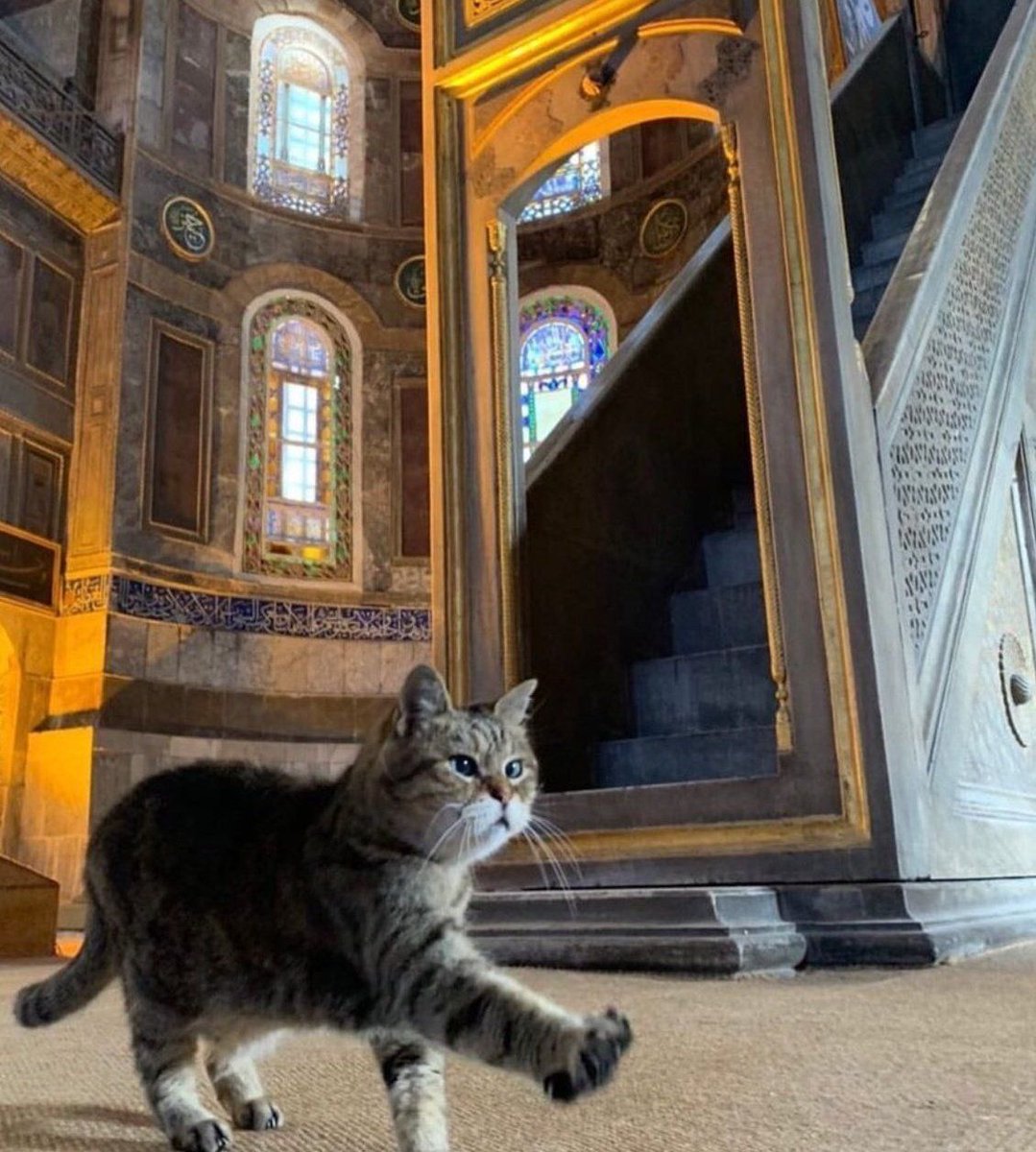 tmccormick's tweet image. yes, in Austin, on extended nomad research 1st to @YIMBYtown in Feb  then back later. Exploring  place, vibes, housing things, esp to collab w/ @toofound #EsperanzaCommunity,  @mobileloaves' #CommunityFirstVillage, @cabindotcity see  #RegenerativeHouse project. #TexasDetour