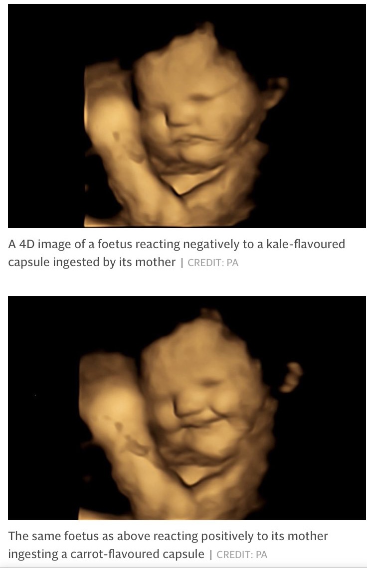 “Clump of cells” reacting to food he likes and doesn’t like…