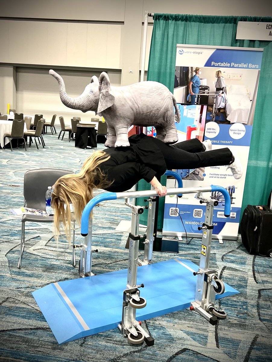 The Elephant in the Room…or on your back?? #earlymobilityconference2024 #teammobilitypink #wareologie