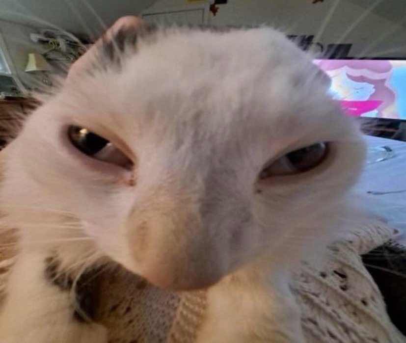 MLG-tan song teaser in 4 days