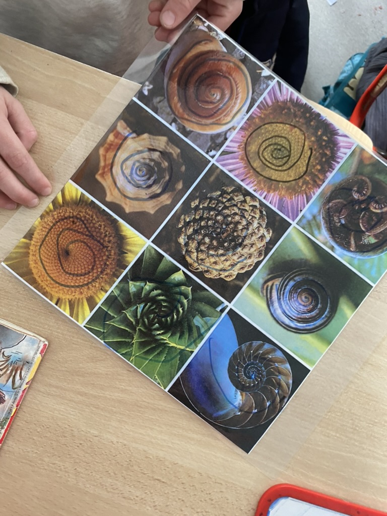 MissionMaths14's tweet photo. #semainedesmaths#MissionMaths14#Fibonacci#Défi-Jour 1 https://t.co/0l7n8TM11K