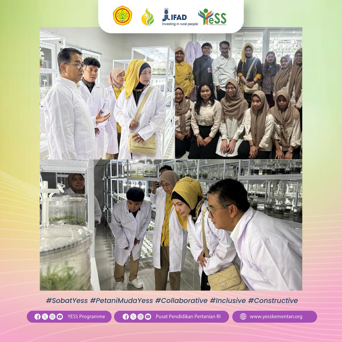 yessprogramme's tweet photo. Halo #SobatYESS
Dalam upaya memperkuat ketahanan pangan di Ibu Kota Negara (IKN) Nusantara, para petani milenial, (DPM) dan (DPA) bersama dengan Young Ambassador Program YESS menyatakan komitmennya untuk memberikan dukungan.
#YESSProgramme #BPPSDMP #Pusdiktan #Kementan #Ifad https://t.co/t6zGDqwr4A