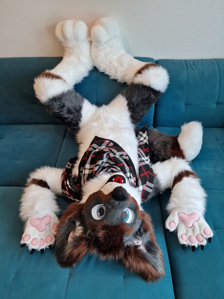 Oh noes I forgot how to dog 😱