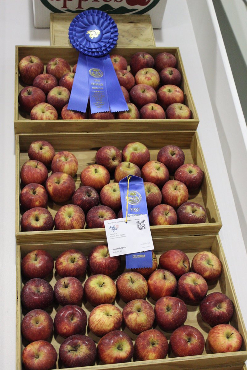 Competitive exhibits are a must-see here at the #SCStateFair! From art and baked goods, to agriculture and beeswax, South Carolinians show off the very best of what they do and compete for the coveted blue ribbon every year.