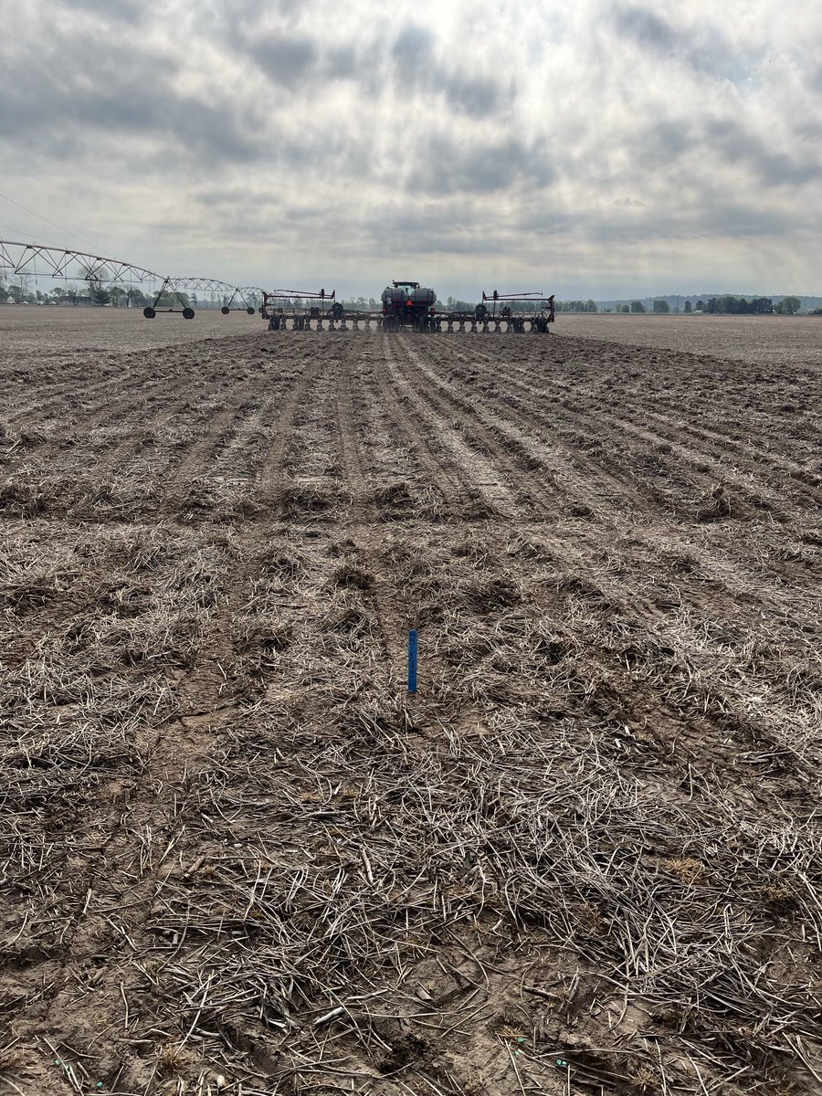 Curtis Bivens tweet media