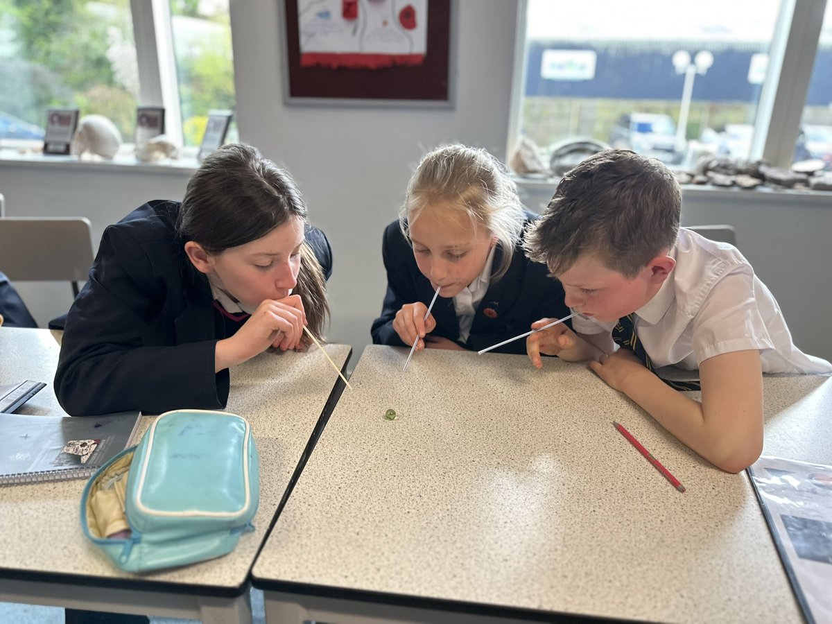 Monmouth Prep Science (@drwallscience) on Twitter photo Y5 have been investigating balanced & unbalanced forces using straws and a marble. #physics #STEM #primaryscience <a href="/MonPrepSchool/">Haberdashers' Monmouth Prep School</a> <a href="/Habsmonmouth/">Haberdashers' Monmouth School</a> Y5 have been investigating balanced & unbalanced forces using straws and a marble. #physics #STEM #primaryscience <a href="/MonPrepSchool/">Haberdashers' Monmouth Prep School</a> <a href="/Habsmonmouth/">Haberdashers' Monmouth School</a>