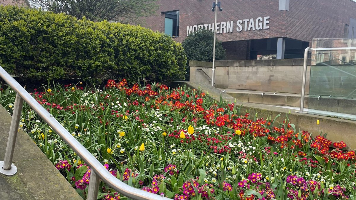 Spring has sprung on main campus 🌼🌷💐 We especially love these flowers outside of @northernstage! Every Tuesday we showcase photos from around campus and the city. Make sure to include the hashtag #NUBSTuesdays in your post to be featured on our feed. #NCLBusiness #WeAreNCL