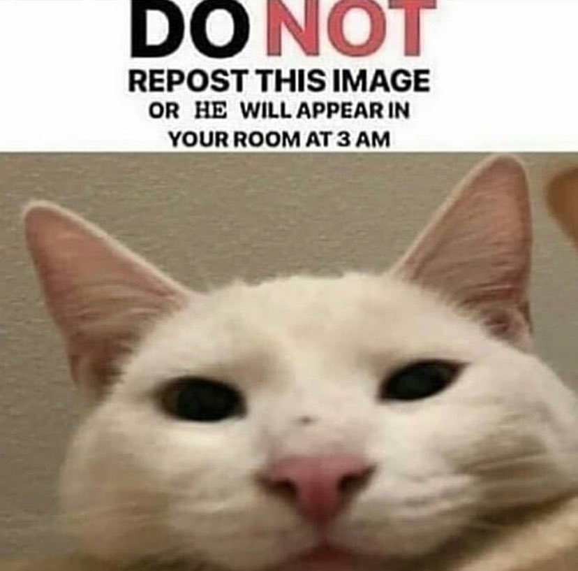 DON'T DO IT 🙅‍♀️🚫