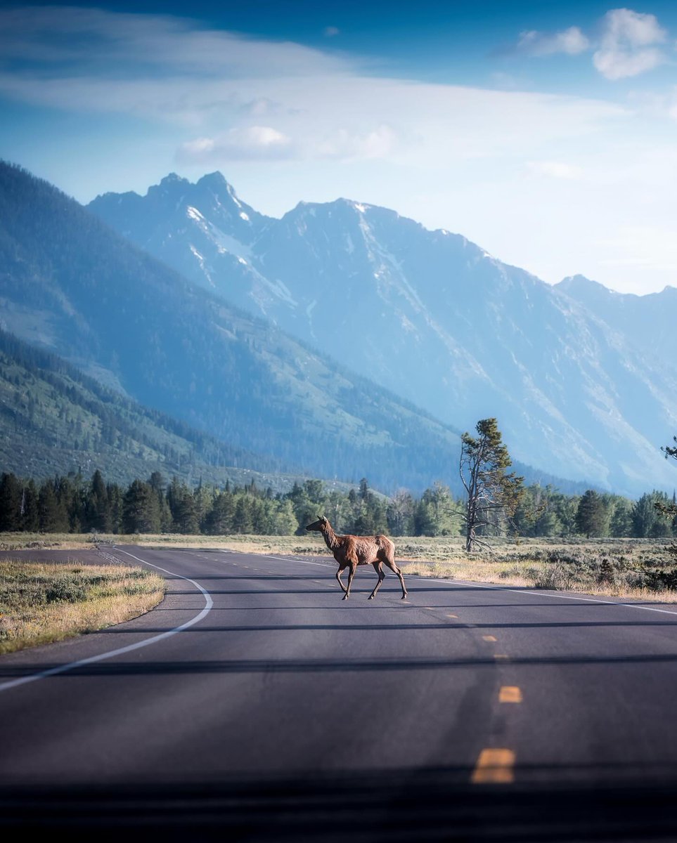 Grand Teton National Park