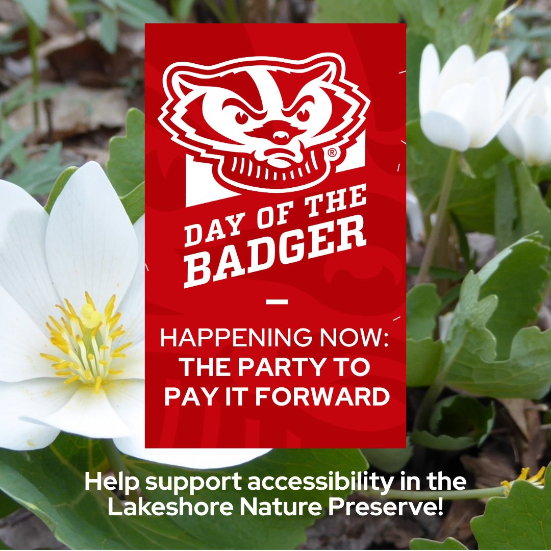 UW-Madison Lakeshore Nature Preserve (@uwpreserve) on Twitter photo #dayofthebadger is happening now! Help support accessibility in the Lakeshore Nature Preserve! To learn more visit: dayofthebadger.org/campaign/lakes…
<a href="/uwalumni/">Wisconsin Alumni</a> #dayofthebadger is happening now! Help support accessibility in the Lakeshore Nature Preserve! To learn more visit: dayofthebadger.org/campaign/lakes…
<a href="/uwalumni/">Wisconsin Alumni</a>