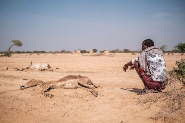 👀 Hasta el 40 por ciento de las tierras del mundo están degradadas. Los africanos son de los más desprotegidos ante el cambio climático. Paradójicamente, hacen mucho por revertirlo 👉 acortar.link/KHidlk