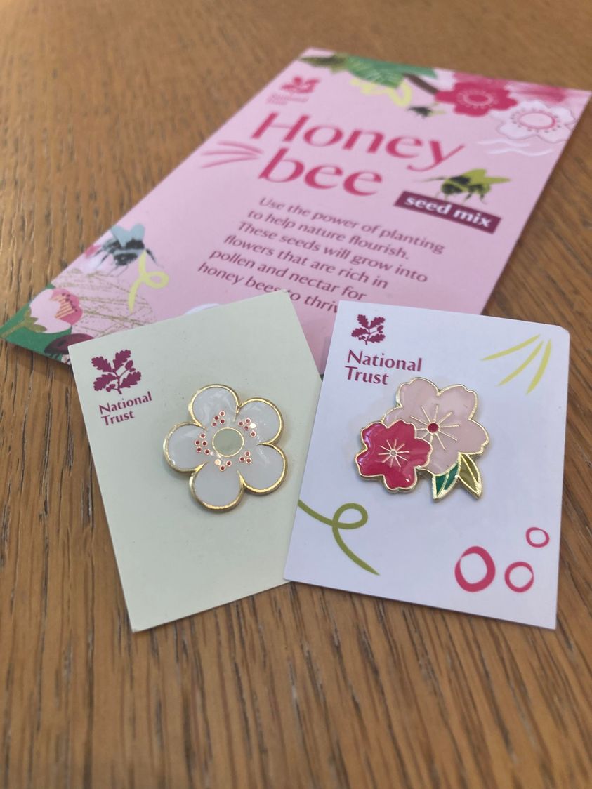 Let's kick off #blossomweek with a competition! Which blossom badge do you prefer - #teamwhite or #teampink? Visit us this week, buy blossom badge and cast your vote in the donations box. Every pin badge donation goes back into helping us care for the special place. Thank you!🙏
