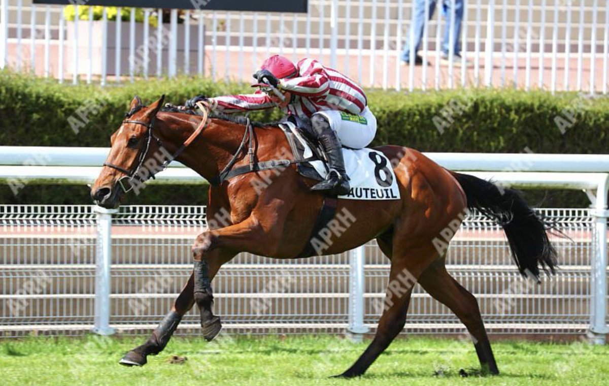 YARD GRADUATE WINNER ! 

Lecoeurdeshommes wins first time out at <a href="/Hippo_Auteuil/">Hippodrome_Auteuil</a> for <a href="/EcurieNicolle/">Ecurie Nicolle</a> <a href="/DetrDetre/">Patrice Détré</a> <a href="/RomainDETRE1/">Romain DETRE</a> <a href="/angelozuliani/">Angelo Zuliani</a> 

Well done ! 👏👏