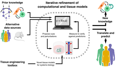 Jose Cadavid tweet media