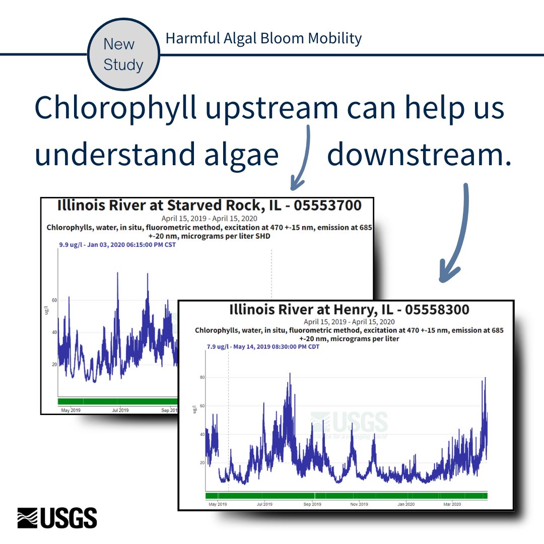 Harmful algal blooms can be big. But where they start might not be what it appears. Read why:  usgs.gov/mission-areas/…