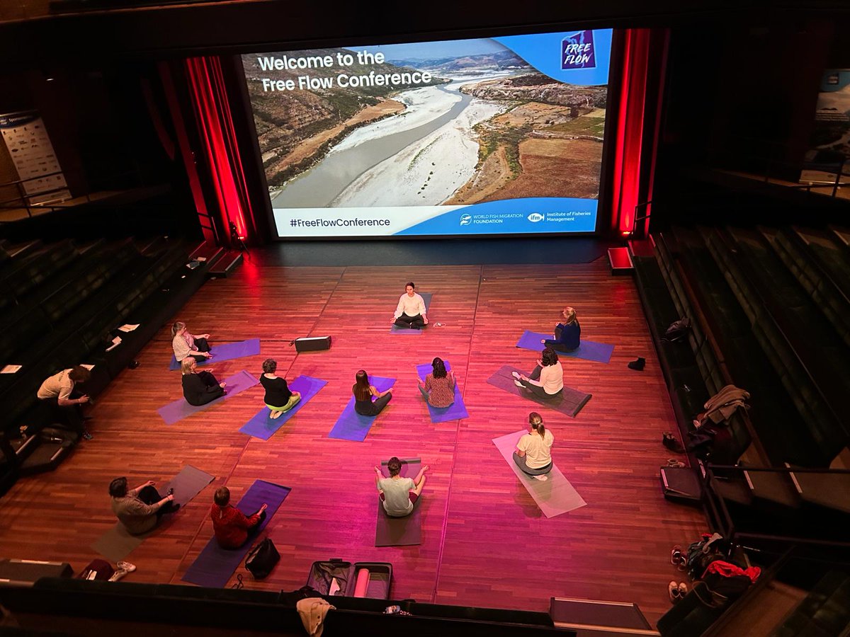 fishmigration's tweet photo. What a day! From inspiring presentations and yoga sessions to the latest news on #riverrestoration  🙌
Check the key moments from Day 2 of #FreeFlowConference.
Stay tuned for the #DamRemovalAward2023 ceremony later and get ready for the party! 🎉 https://t.co/XdTWoxrZ8z