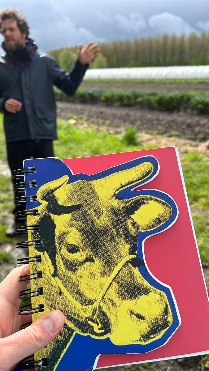 Natasha Foote tweet media