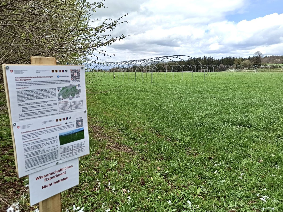 Dr Pierre Mariotte (@pierremariotte) on Twitter photo Our #drought experiment is ready in the canton of Bern💧☀️ More to come this Summer! #DryMountProject <a href="/agroscope/">Agroscope</a> <a href="/AllanEcology/">Allan Ecology Group</a> <a href="/emilie_roinel/">Emilie Roinel</a> Our #drought experiment is ready in the canton of Bern💧☀️ More to come this Summer! #DryMountProject <a href="/agroscope/">Agroscope</a> <a href="/AllanEcology/">Allan Ecology Group</a> <a href="/emilie_roinel/">Emilie Roinel</a>