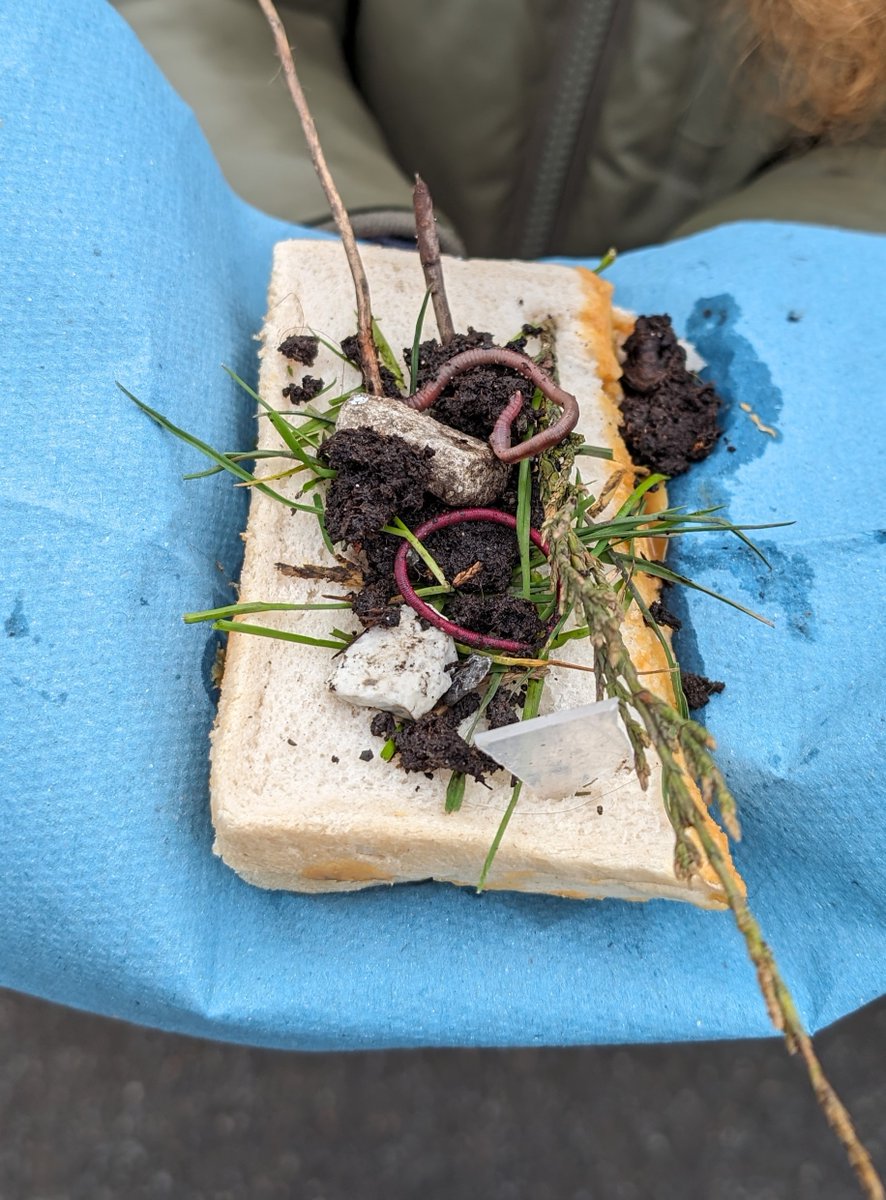 Year 2 are going to be reading 'The Disgusting Sandwich' this term. Today the children made their own disgusting sandwiches! We even managed to make a worm sandwich (no worms were harmed!) Ms Fletcher wasn't a fan, but the children thought it was great fun! @garethmammal
