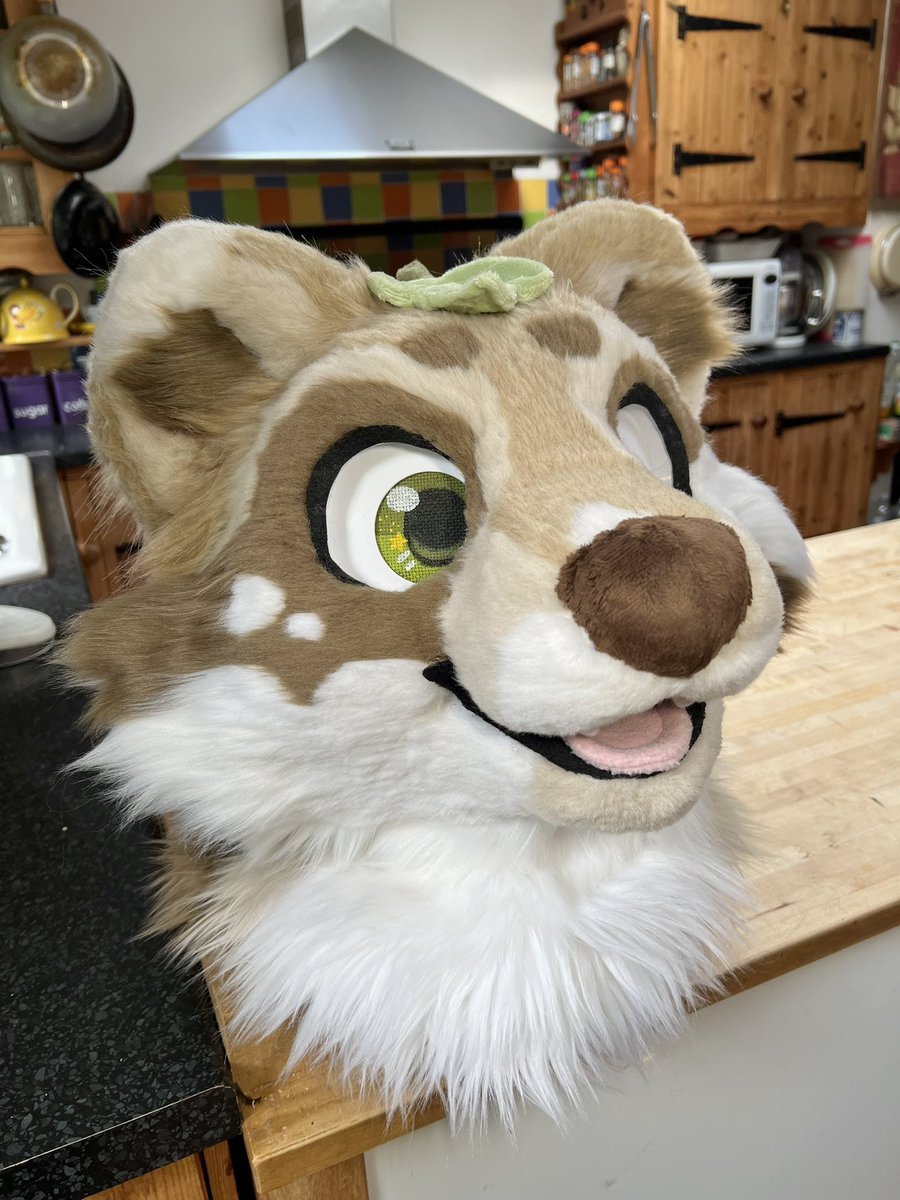Rowans the raccoons head is done! He still has a tail to do but I’m sooo happy with him!