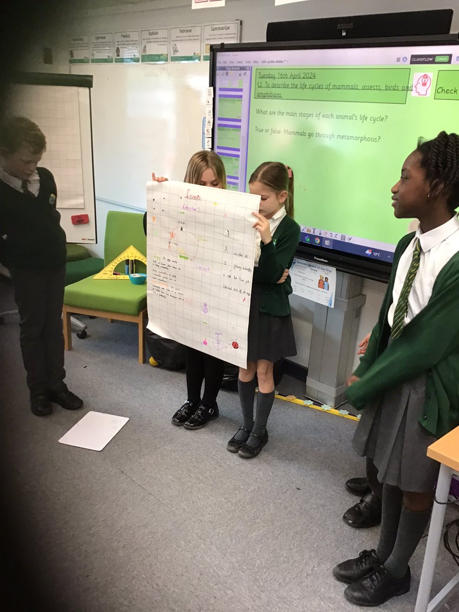 GRPAMaple's tweet photo. We all had a fantastic first day back in Maple class today! In science, we worked in tables to create posters about the life cycles of different animal groups and then presented them to the class. #curiouscurtis 🐸🐶🐔🦋 https://t.co/89LszQ8qeP