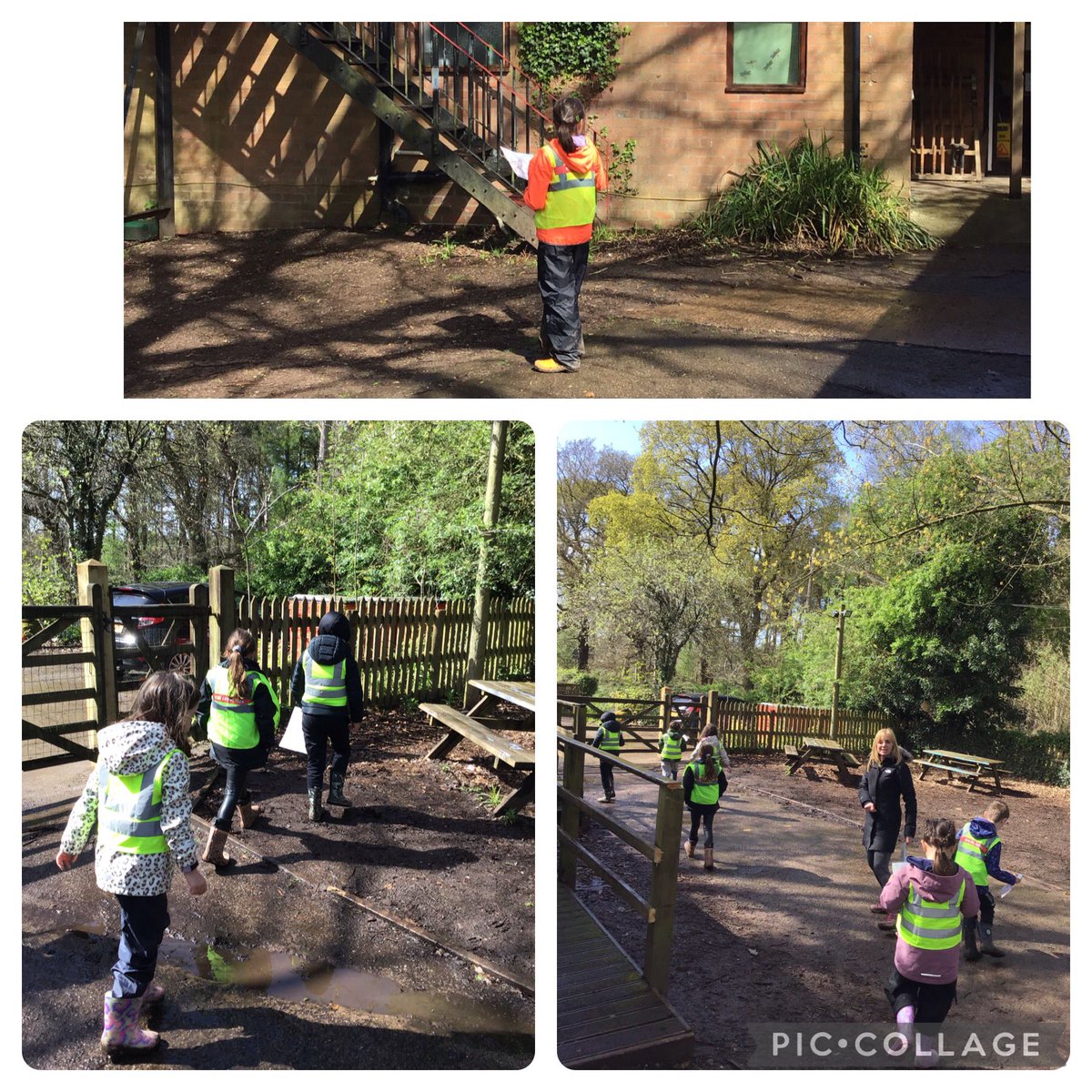 BroomfieldsJnr's tweet photo. 3HG practiced our orienteering skills at Fox Howl! We explored the forest following our maps to discover the hidden words. Teamwork, resilience and problem solving skills were shown by all!
#BroomfieldsYear3 #BroomfieldsGeography #BroomfieldsScience #BroomfieldsPE https://t.co/6zEFjJmaep