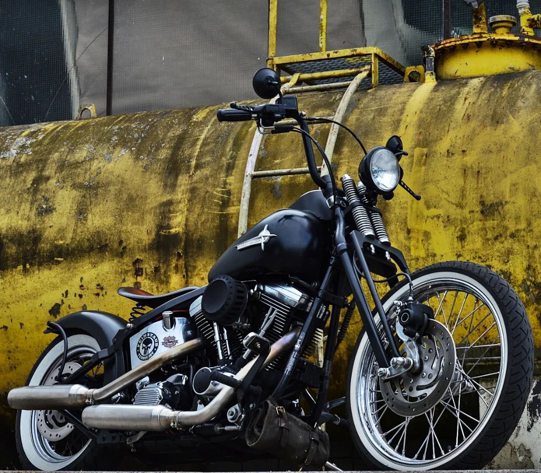 Wild1inc1's tweet image. 