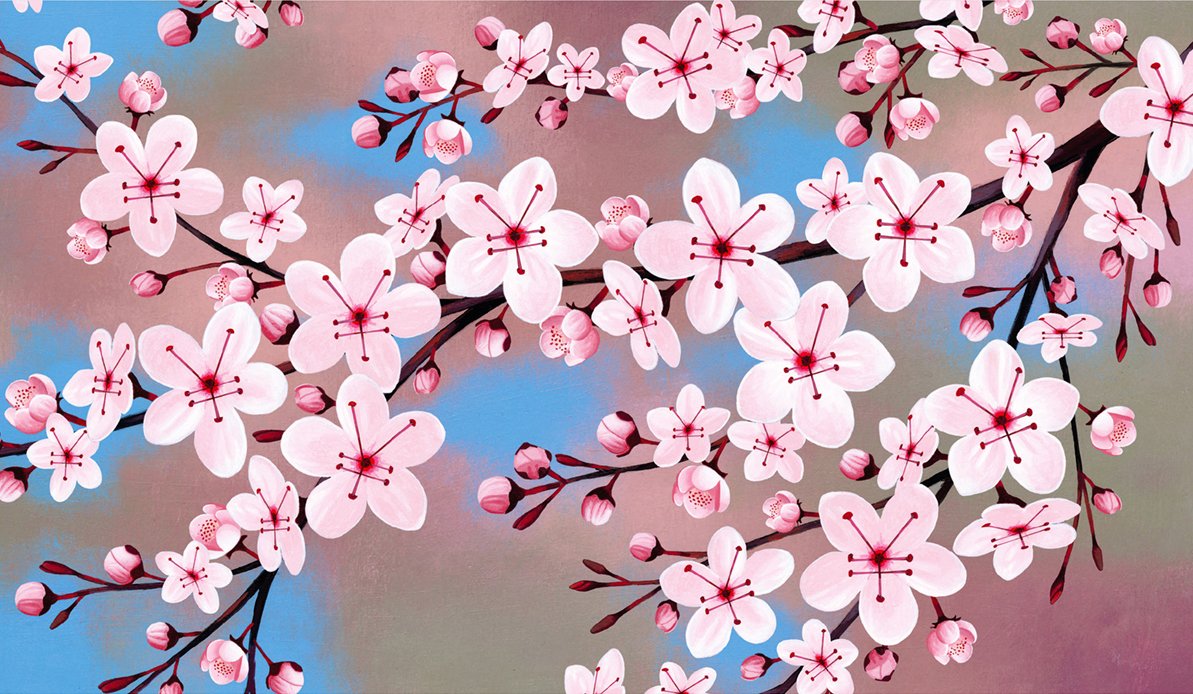 Theispot's tweet image. Happy Cherry Blossom season 🌸🌸🌸
James Fryer for ISDA Quarterly's IQ Magazine.

#cherryblossom2024 #cherryblossomseason #CherryBlossomFestival