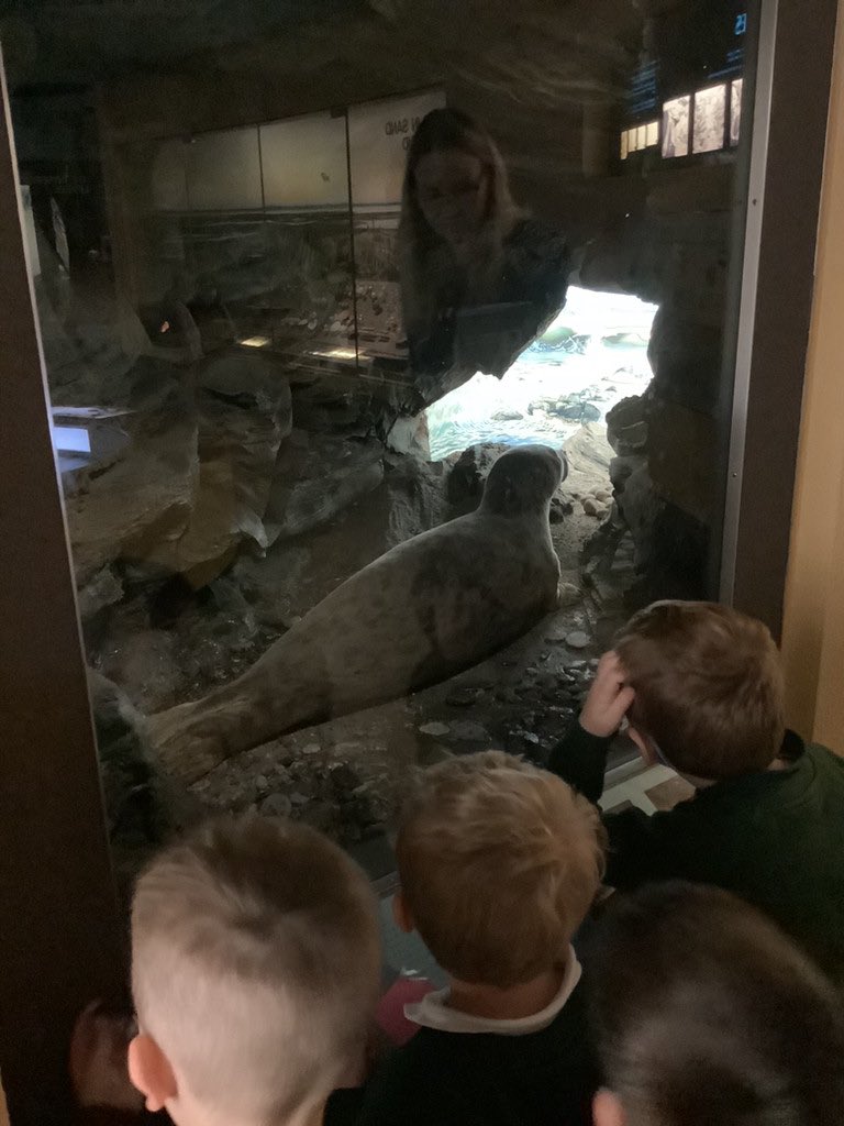 Reception had a lovely first school trip to Bristol Museum 😄 We enjoyed looking at all of the animals, “beautiful paintings” and finding the Egyptian Mummies! 🖼️ @MrsLovejoyEYFS @MrsBlakeCastle1 @CastleBatch