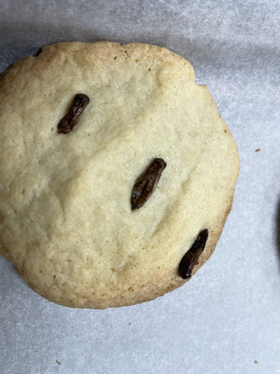 SDE_Steam's tweet photo. Today at #STEAM club we made yummy protein cookies. While we discussed protein sources of the future. #bugvita
#STEM https://t.co/sfJQhMPc3e