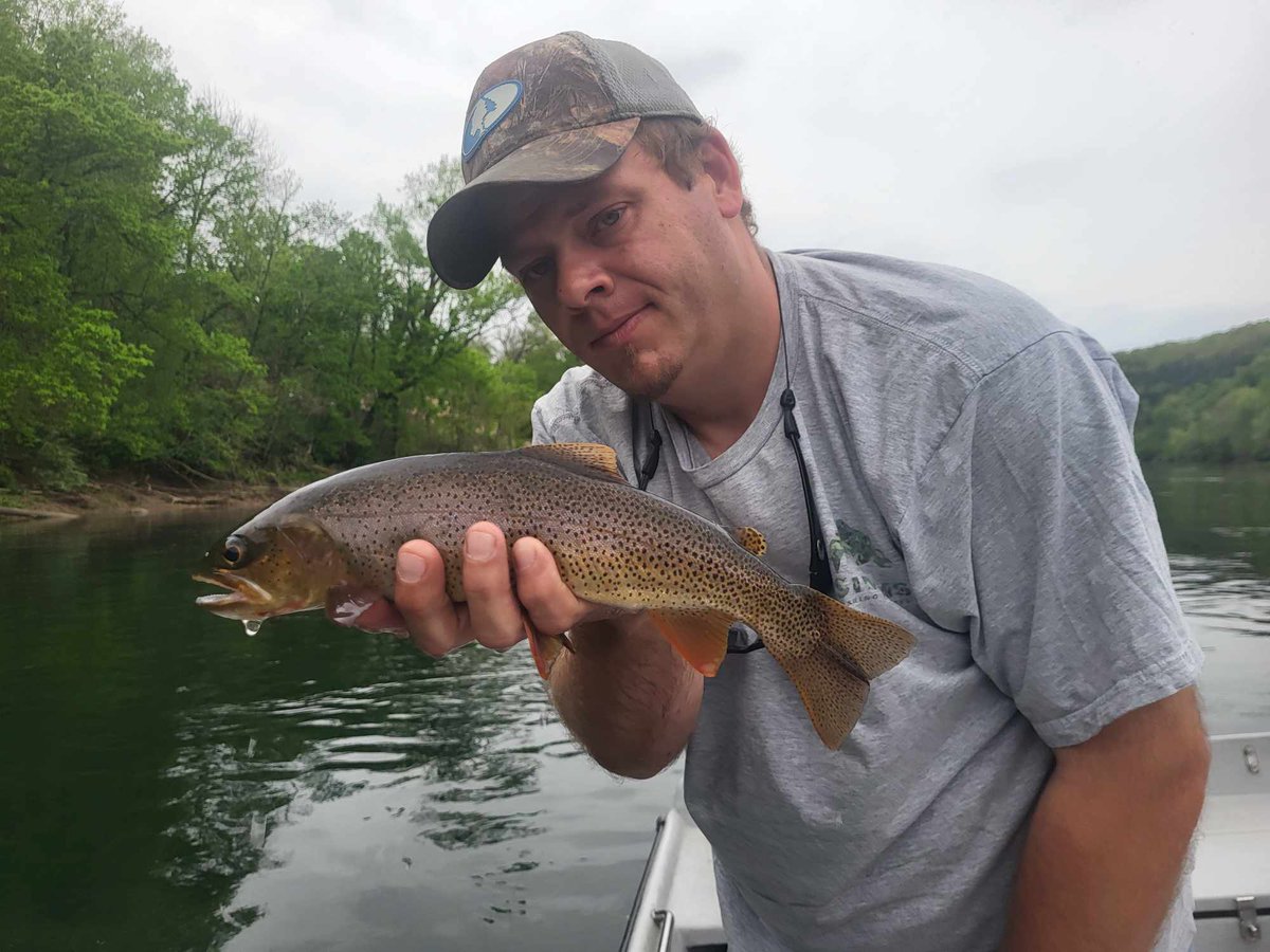 FishwithTJ's tweet photo. It's been a long 7-8 months off the water. A fun couple hours out yesterday evening with @ontheflywithkarenlynn. We were stubborn and wanted to watch a few eat dries, and we got our wish! 

.
.
.
.
.
.
.
.
.
.
.
https://t.co/9mWVg9wu40
.
#flyfishing #photography #fish #trout https://t.co/s1wzc78A2P